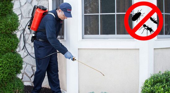 Zonguldak Karınca İlaçlama böcek ilaçlama ve haşere kontrolü — ilaclama-tr.com